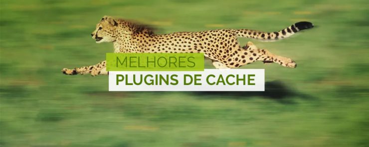 Melhores Plugins de Cache