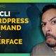 WP-CLI-Guia-Exclusivo-Controlar-WordPress-Linha-Comando WP-CLI-Guia-Exclusivo-Controlar-WordPress-Linha-Comando